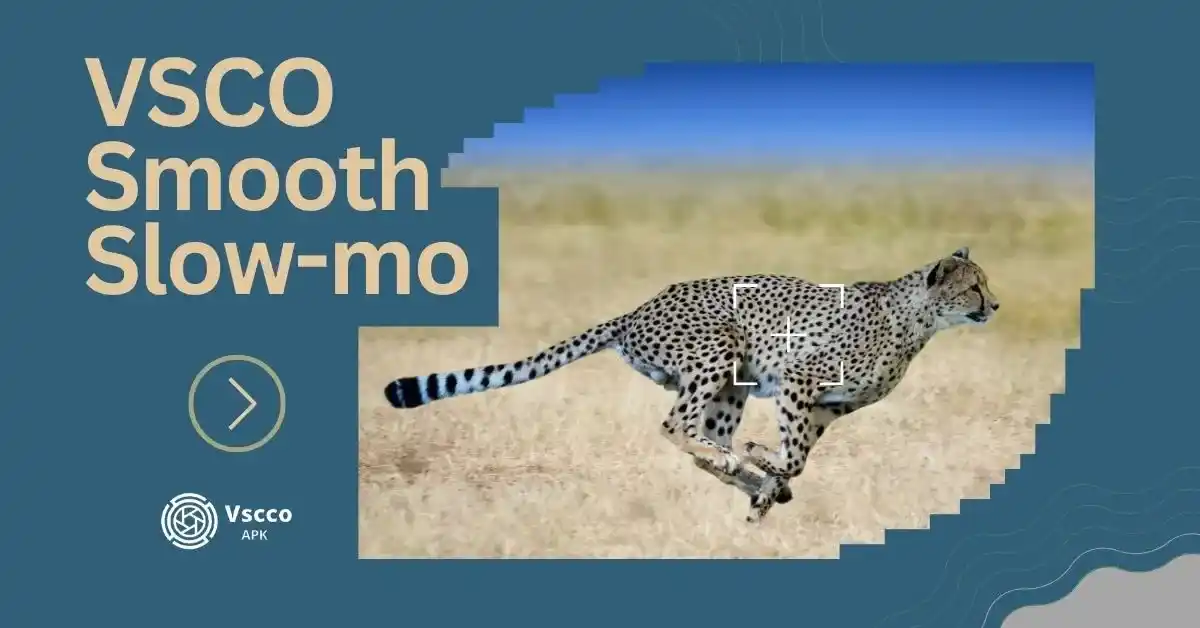 VSCO smooth slow motion a running Cheetah image