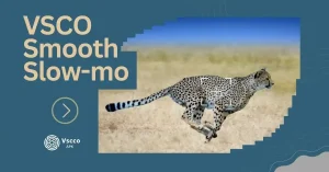 VSCO smooth slow motion YouTube thumbnail, cheetah image